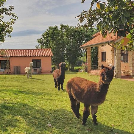 Hotel 3 Alpacas La Campa Eksteriør billede