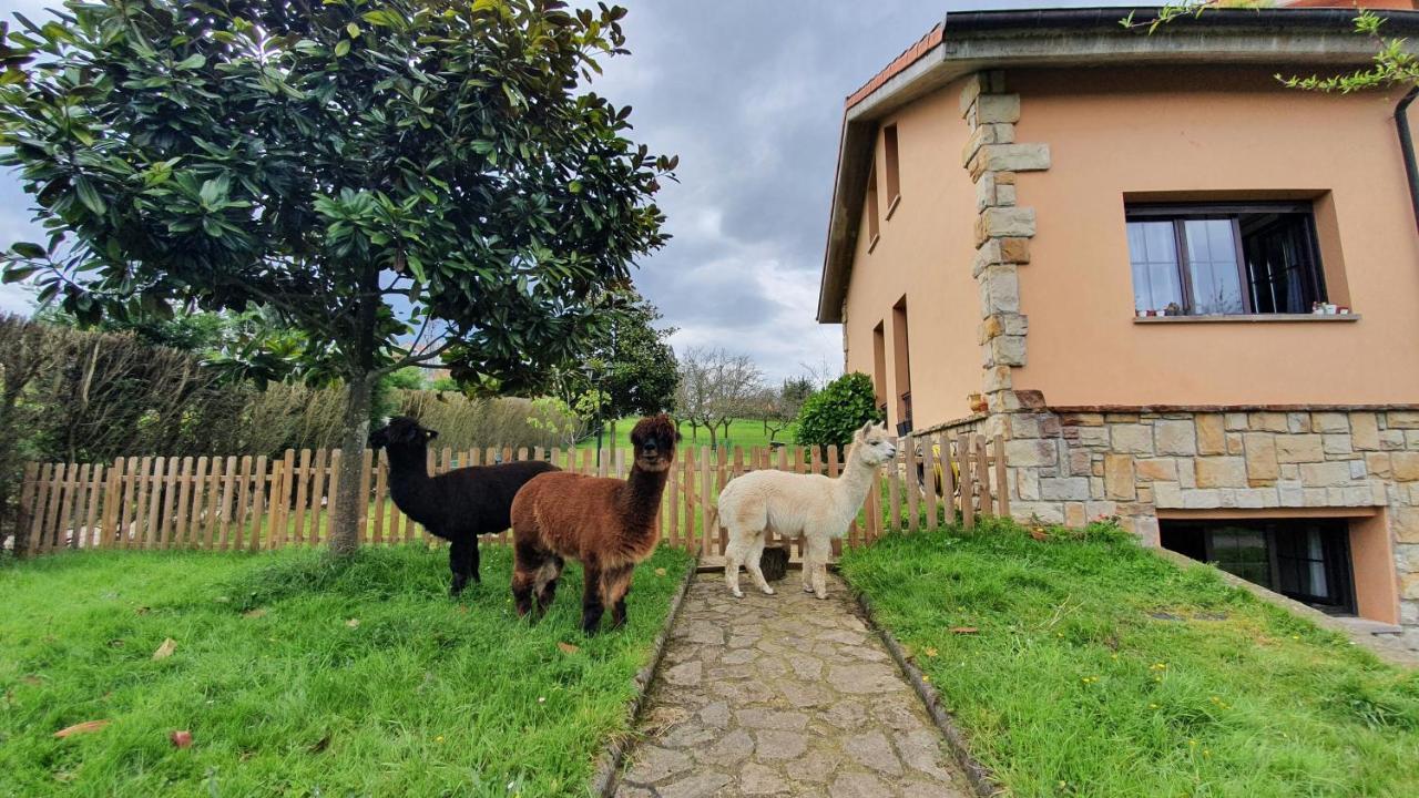 Hotel 3 Alpacas La Campa Eksteriør billede